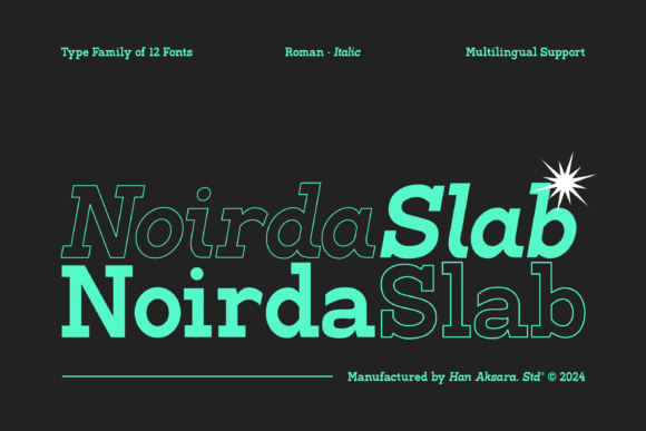 Noirda: A Bold Font for Professional Branding