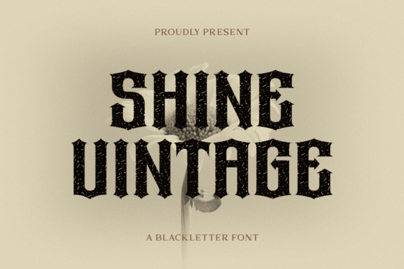 Shine Vintage Font for Modern Branding